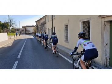Immagini 2019